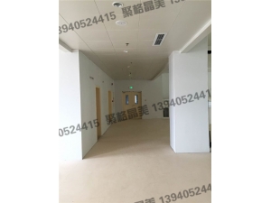 醫療系統17
